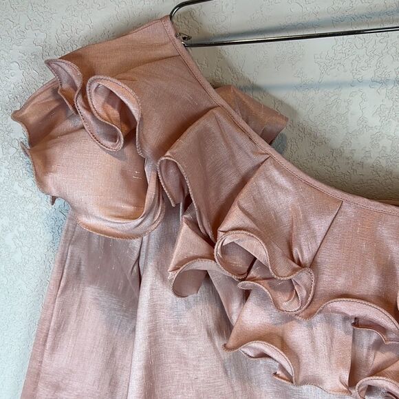 NWT Petersyn Lou One Shoulder Blouse- Cameo Pink Ruffle Size Small - Picture 3 of 12